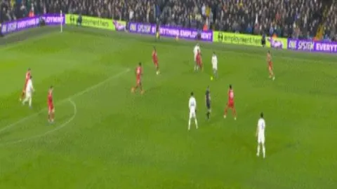 “2025新西兰女足世界杯精要回顾”